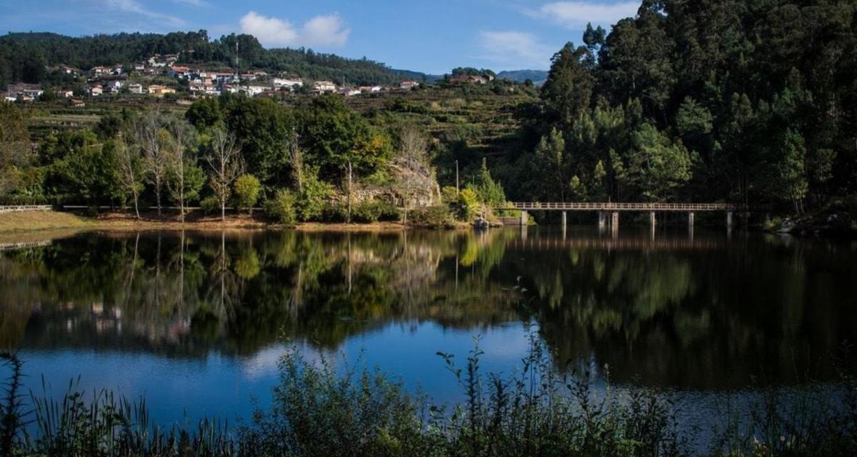 Trebid'Ouro Villa Vale de Cambra Eksteriør bilde